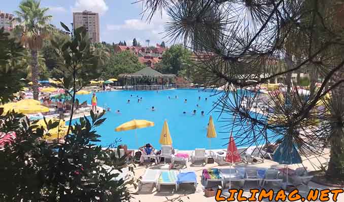 پارک آبی دلفین استانبول (قیمت بلیط و سرویس رایگان)