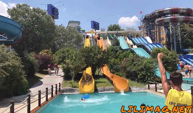 پارک آبی دلفین استانبول (قیمت بلیط و سرویس رایگان)