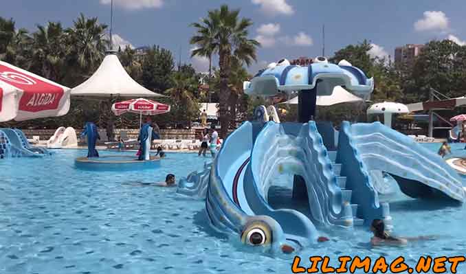 چگونه به پارک آبی دلفین استانبول برویم؟