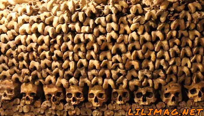 Catacombs of Paris Facts : The Massive Size